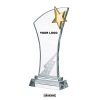 Crystal Star Award