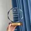 Octagon Crystal Award