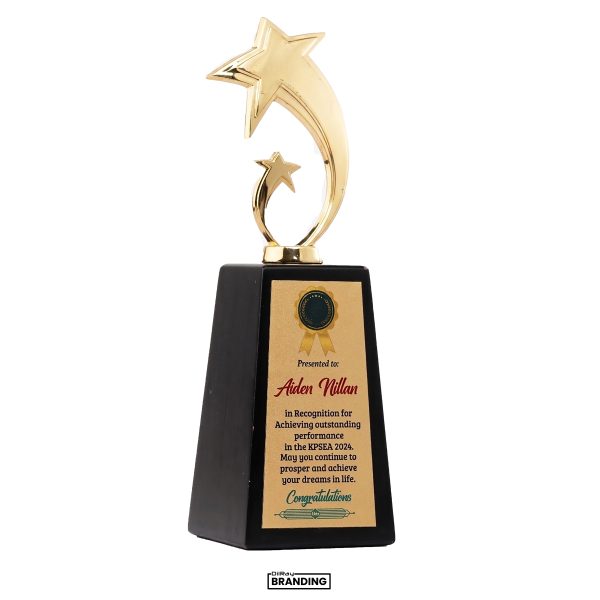 Star Top Trophy