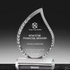 Tear Shape Award