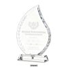 Tear Shape Award